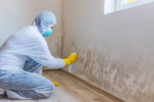 Hvac And Air Duct Mold Remediation inspection of HVAC system in Greensboro