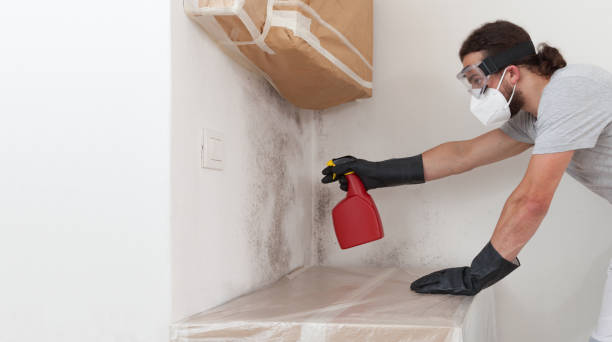 Attic Mold Remediation treatment on roof deck in Greensboro