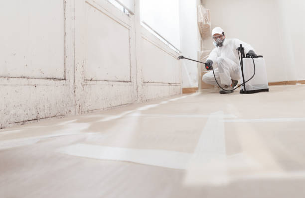 Black mold remediation team in Greensboro